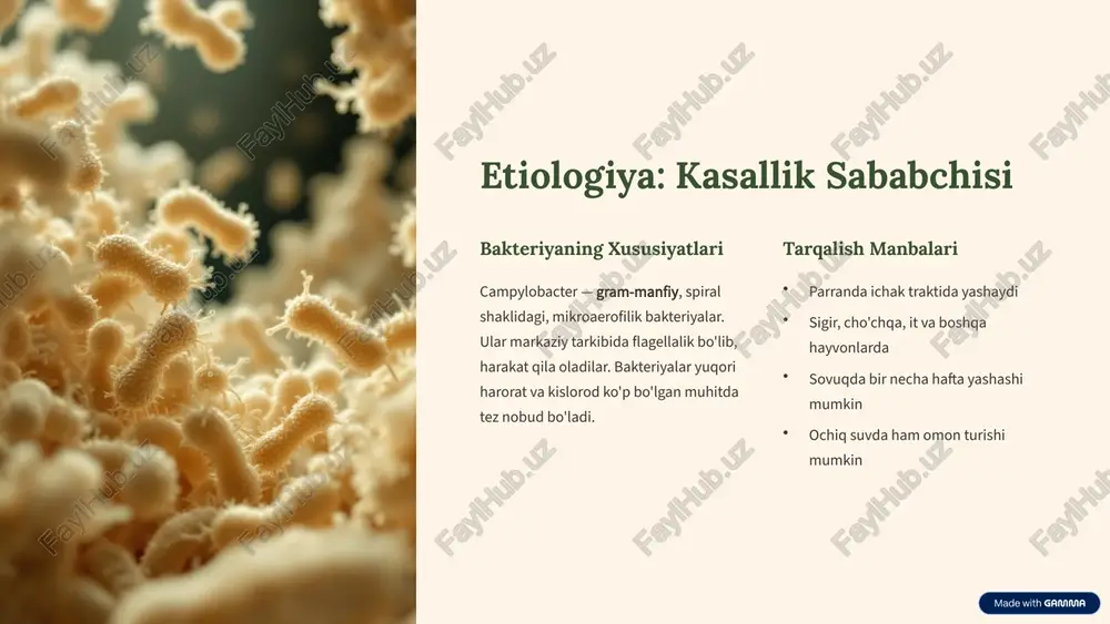 uk. 9 xulosa va tavsiyalar kasallik tabiati keng tarqalgan, ammo oldini olish mumkin bo'lgan infeksion kasallik diagnostika va davolash to'g'ri diagnostika va davolash bilan asoratlar kamayadi oldini olish gigiyena va oziq-ovqat xavfsizligiga e'tibor qaratish zarur asosiy tavsiyalar: parranda go'shtini 75°c gacha pishirish suyuqlik bilan davolash va gigiyena qoidalariga rioya oziq-ovqat xavfsizligini ta'minlash hayvonlar bilan bevosita aloqada ehtiyotkorlik har birimiz sog'lom turmush tarzini qo'llab-quvvatlash orqali kampilobakterioz tarqalishini oldini olishimiz mumkin. 10 image-1002-1.png image-1-1.png image-1003-1.png image-2-1.png image-1004-1.png image-3-1.png image-1005-1.png image-4-1.png image-1006-1.png image-5-1.png image-1007-1.png image-6-1.png image-6-2.svg image-6-3.png image-6-4.svg image-6-5.png image-6-6.svg image-6-7.png image-6-8.svg image-1008-1.png image-7-1.png image-7-2.png image-1009-1.png image-8-1.png image-8-2.png image-8-3.svg image-8-4.png image-8-5.svg image-8-6.png image-8-7.svg image-8-8.png image-8-9.svg image-1010-1.png image-9-1.png image-9-2.png image-9-3.png image-1011-1.png image-10-1.png
