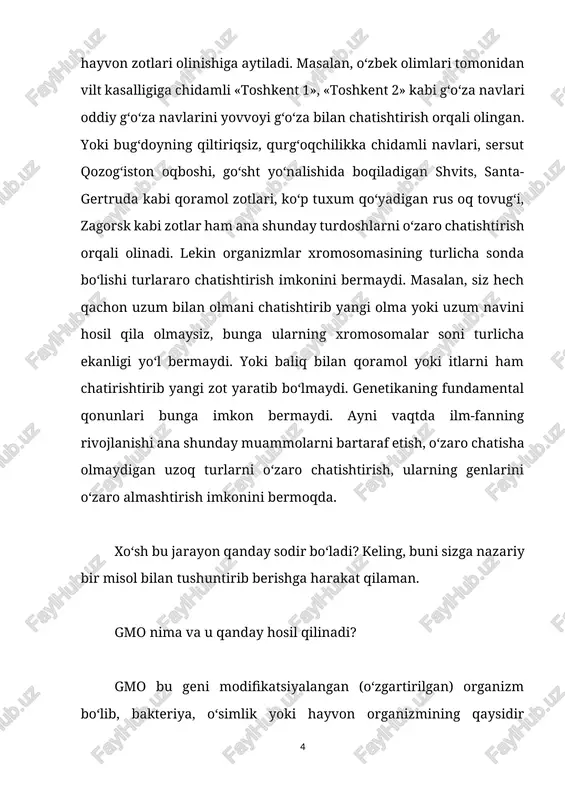 jarayon qanday sodir bo‘ladi? keling, buni sizga nazariy bir misol bilan tushuntirib berishga harakat qilaman. gmo nima va u qanday hosil qilinadi? gmo bu geni modifikatsiyalangan (o‘zgartirilgan) organizm bo‘lib, bakteriya, o‘simlik yoki hayvon organizmining qaysidir xususiyati genetik injeneriya usuli yordamida organizmga begona organizm genini kiritish yo‘li bilan o‘zgartiriladi. bunday jarayonlar aslida tabiatda tabiiy holatda ham uchraydi, bu holatga transformatsiya yoki genlarning gorizontal ko‘chishi deb ataladi. gmo da esa ushbu jarayon odam tomonidan ko‘zlangan maqsad asosida hosil qilinadi. gmoning qanday yaratilishini nazariy misol orqali tushuntiradigan bo‘lsak, tasavvur qiling, kundalik taom tayyorlashda ishlatadigan oshpiyoz, odatda -1oc da muzlab qoladi va uni muzlagandan keyin o‘z holiga qaytarib bo‘lmaydi. uni endi ovqatga ishlatib bo‘lmasligini hamma uy bekalari juda yaxshi bilishadi, shu bois piyozlarni muzlab qolishdan saqlash choralari ko‘riladi. chunki piyozning hujayralarida uning sovuqqa chidamliligi -1 darajagacha xolos deb belgilab qo‘yilgan. uning genlariga xuddi ana shunday yozib qo‘yilgan. xuddi mana shu piyozni -10 darajada ham …