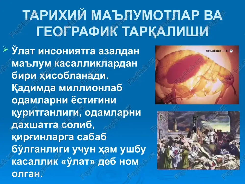 tabiiy o'chog'i ( xorazm viloyati) - 0,1 mln. ga; tarixiy ma'lumotlar va geografik tarqalishi (davomi) - qirg'iziston davlati bilan chegaradosh o'latning tog'li tabiiy o'chog'i (toshkent va namangan viloyatlari) - 0,1mln.ga; - tojikiston davlati bilan chegaradosh o'latning tog'li tabiiy o'chog'i (qashqadaryo va surxondaryo viloyatlari) – 0,08 mln.ga. tarixiy ma'lumotlar va geografik tarqalishi o'lat kasalligining qo'zg'atuvchisi biologik qurol sifatida foydalanilishi mumkin. tatarlar 1346 yilda urush paytida o'latni tarqatish maqsadida o'latdan o'lgan odam jasadini kafu shahriga, ikkinchi jahon urushi davrida esa yaponiya xitoyning ningxo shahriga o'lat qo'zg'atuvchisi bilan zararlangan burgalarni tashlaganlar. etiologiyasi o'lat qo'zg'atuvchisi (yersinia pestis) yersinia va entrerobacteriaceae oilasiga mansub bo'lib, o'lchami 0,3-0,5mkm. o'lat bakteriyasi spora hosil qilmaydi, xivchinlari yo'q, harakatsiz. barcha anilin bo'yoqlari bilan yaxshi bo'yaladi, gram manfiy. lyoffler ko'ki yoki romanovskiy – gimza bo'yoqlari bilan bo'yalganda, bipolyarlik xususiyatiga ega bo'lib, yaqqol ko'zga tashlanadi. qo'zg'atuvchi go'sht – peptonli bulon va agarda (rn 7,0 – 7,2) 28 – 370s haroratda yaxshi o'sadi. …