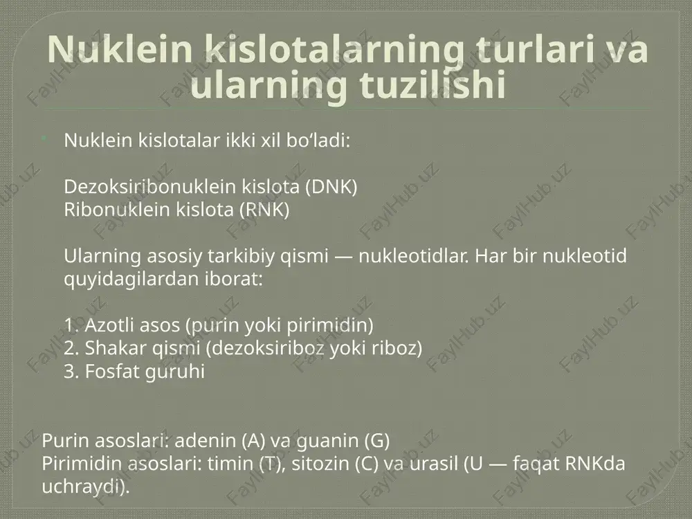nuklein kislota - Page 3