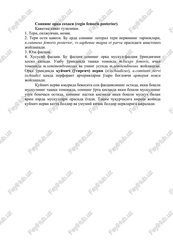 dan tashqarida son nervi. a. et v. femoralis serbar fastsiyaning yuza va chuqur varaqlari orasida, m.pectineus va m.iliopsoas lar orasidagi tarnovsimon chuqurchada yotadi. uchburchak doirasida son arteriyasidan quyidagi tarmoqlar chiqadi: a.epigastrica superficialis, a.pudenda externa, a.circumflexa ilium superficialis va a.profunda femoris. sonning chuqur arteriyasi o'z navbatida aa.circumflexae femoris lateralis et medialis ni hamda 3 ta perforant (teshib utuvchi) arteriyalar (aa.perforantes) ni beradi. yaqinlashtiruvchi kanal (canalis adductorius) son oldingi sohasining pastki qismida joylashgan. uning devorlari: orqa-lateral tomonda – m.vastus medialis, orqa-medial tomonda – m.adductor longus, oldinda – lamina vastoadductoria va uning ustida mashinachilar muskuli. kanalning kirish, chiqish hamda oldingi teshiklari mavjud. kirish teshigi orqali son arteriyasi, venasi va n.saphenus kiradi. kanal ichida tomir-nerv tutami elementlari joylashishi qo'yidagicha: son venasi son arteriyasining orqa va lateral tomonida, n.saphenus esa tomirlardan tashqarida joylashadi. kanalning oldingi devoridagi teshik orqali son arteriyasining shoxi –a.genus descendens hamda n.saphenus chiqib pastga yo'naladi. yaqinlashtiruvchi kanalning chiqish teshigi taqim chuqurchasi kletchatkasiga …