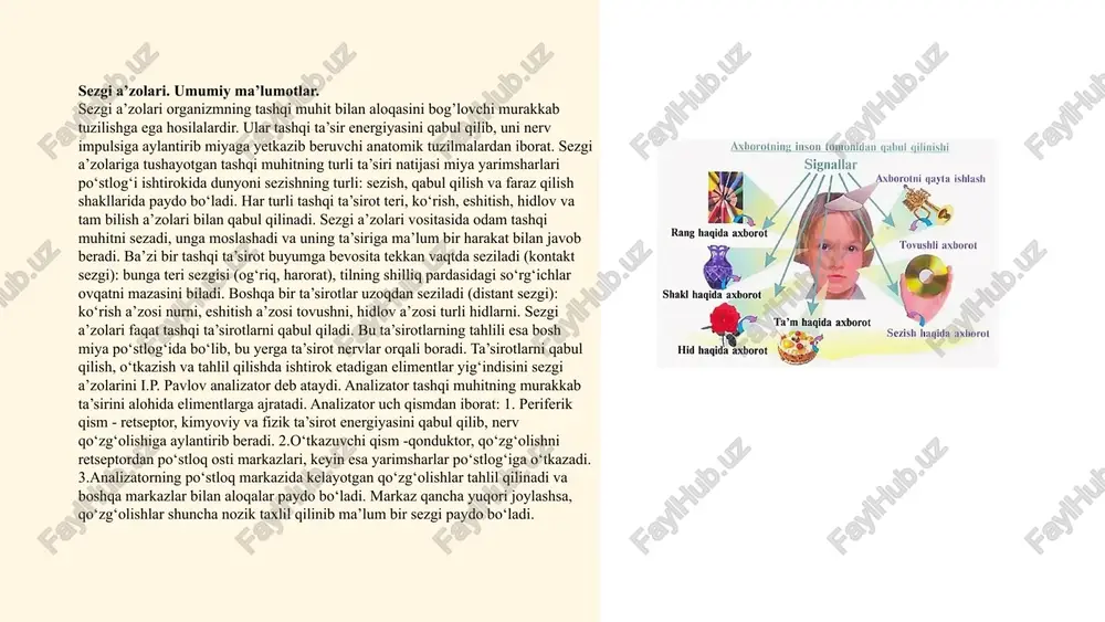 qavatli ko‘z jomini hosil qiladi. jomning tashqi devori keyinchalik to‘r pardaning tashqi pigmentli qismiga, ichki devori esa yorug‘lik sezuvchi qismiga aylanadi. shu davrda ko‘z jomi oldida turgan ektoderma avval qalinlashadi, keyin unda gavhar chuqurchasi paydo bo‘lib, gavhar pufagiga aylanadi. homila hayotining 2 oyida ko‘z jomi ichiga mezenxima hujayralari o‘sib kirib, ko‘z jomining ichki tomonida tomirli pardani, tashqi tomonida esa fibroz pardani va qon tomirlar to‘rini hosil qiladi. fibroz pardaning oldingi qismi rangsizlanib shox pardaga aylanadi. homila hayotining 3 oyida ustki va pastki qovoqlar ektoderma burmalari holida paydo bo‘ladi. ko‘zning biriktiruvchi to‘qimali pardasi (kon‘yunktiva) epiteliyasi ham ektodermadan taraqqiy etadi. ko‘z yoshi bezi kon‘yunktiva epiteliyasning o‘simtalaridan homila hayotining 3 oyida qovoqlarning tashqi qismida taraqqiy etadi. ... t.me/slaydai_bot ko‘zning nur sindiruvchi apparati tarkibiga shox parda, ko‘z gavhari va shishasimon tana kiradi. ko‘z gavhari (lens) ikki tomoni qavariq linzaga o‘xshaydi va kuchli nur sindirish qobiliyatiga ega. uning oldingi yuzasi (facies anterior) va oldingi qutbi …