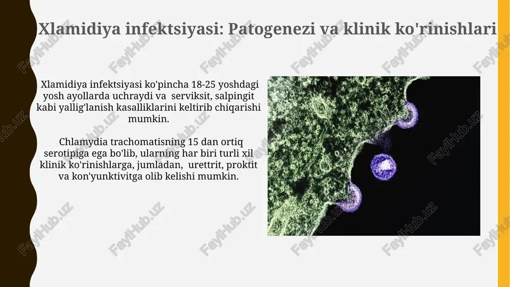 rnativ variant bo'lib, odatda 5-10 kunlik kursda buyuriladi. e'tiboringiz uchun rahmat @taqdimot_robot image1.jpg image2.jpg image3.jpg image4.jpg image5.jpg image6.jpg image7.jpg image8.jpg image9.jpg