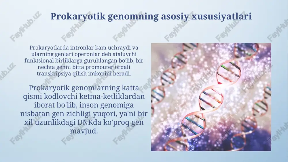 da 10-50% genlar almashinuvini ta'minlaydi. genomning ixchamligi tufayli prokaryotlarda operonlar kabi funktsional birliklar mavjud bo'lib, ular bir nechta genlarni bitta transkripsiya birligida birlashtiradi. dnkning supero'rash va ixchamlashuvi dnkning ixchamlashuvi hujayra hajmining 1000 barobariga kamayishiga olib keladi va bu jarayonda oqsillar, masalan, hu oqsillari va nukleoid bog'lovchi oqsillar muhim rol o'ynaydi. prokaryotik dnkning supero'rash darajasi, topoizomeraza fermentlari yordamida tartibga solinadi va bu jarayon dnk replikatsiyasi va transkripsiyasi uchun muhim ahamiyatga ega bo'lib, 100 dan ortiq o'ram hosil qilishi mumkin. e'tiboringiz uchun rahmat @taqdimot_robot image4.png image5.jpg image6.jpg image7.jpg image8.jpg image9.jpg image10.jpg image11.jpg image12.jpg image13.jpg image14.jpg image15.jpg image3.jpeg