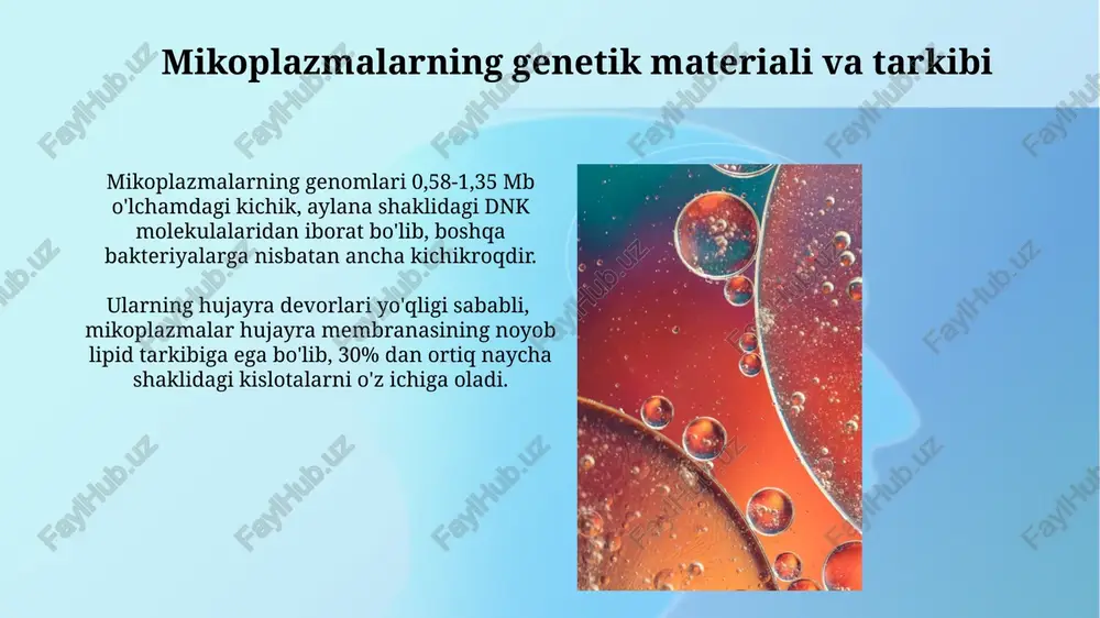 mikoplazmalar materiali, tarkibi va tibbiyotdagi ahamiyati - Page 3