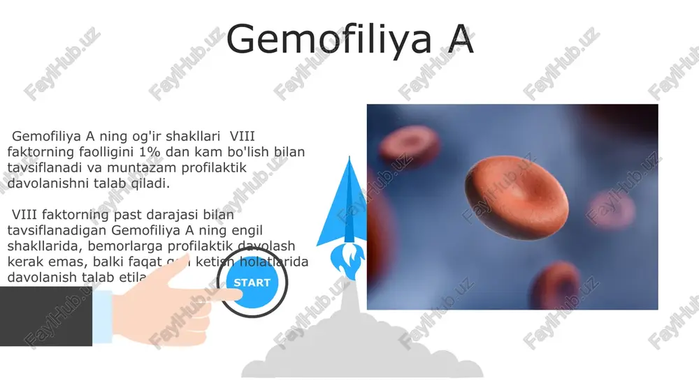 a b ning davolash usullari ix omilining kontsentrati yoki rekombinant ix omilini vena ichiga yuborishni o'z ichiga oladi, bu qon ketish xavfini kamaytiradi. gemofiliya b ning og'irligi ix omilining qancha darajada kamayganligiga bog'liq bo'lib, odatda 1% dan kam bo'lsa, og'ir deb hisoblanadi. 06 05 04 gemofiliya c 01 02 kasallikning og'irligi xi omilining qon plazmasidagi miqdoriga bog'liq bo'lib, og'ir holatlarda spontanne gematomalar va qon ketishlari kuzatiladi. gemofiliya s davolash uchun plazma fraksiyonatsiyasi orqali olingan kontsentratlangan xi omilini yoki rekombinant xi omilini qo'llash mumkin, lekin bu davolash usullari qimmatga tushadi. faktor xi yetishmovchiligi faktor xi yetishmovchiligi og'irlik darajasi turlicha bo'ladi; ba'zi odamlarda asemptomatik bo'lishi mumkin, boshqalarida esa hayotiy xavf tug'diruvchi qon ketishlar kuzatiladi, bu esa davolashga ehtiyoj tug'diradi. kasallik, qon ketishining turli shakllarini, shu jumladan burun qon ketishini (epistaksis), og'ir holatlarda esa jarrohlik amaliyotidan keyingi qon ketish xavfini oshiradi. bu holatlarda protrombin vaqtining (pt) normal bo'lishi muhim ahamiyatga ega. e'tiboringiz uchun …