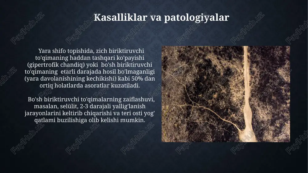 brional rivojlanishning dastlabki bosqichlarida multipotent stromal hujayralardan, ya'ni 20 dan ortiq turdagi hujayralarni hosil qila oladigan hujayralardan kelib chiqadi. bo'sh va zich biriktiruvchi to'qimalarning ikkalasi ham mezenxima deb ataluvchi umumiy embrional kelib chiqishga ega bo'lib, 3-4 hafta davomida gastrulyasiya jarayonida hosil bo'ladi. retikulyar tolalar va ularning ahamiyati retikulyar tolalar, gematopoetik hujayralarni ushlab turish va ularning harakatini tartibga solishda muhim rol o'ynaydi, bu esa immunitet tizimining samarali ishlashini ta'minlaydi. retikulyar tolalar asosan iii tip kollagenlardan tashkil topgan bo'lib, ularning diametri 0,5-2 mikrometr oralig'ida o'zgarib turadi va tarmoqlangan tuzilmaga ega. bo'sh va zich to'qimalarning hujayra tarkibi bo'sh biriktiruvchi to'qimadagi hujayralararo modda suyuqroq va kamroq tuzilgan, zich to'qimadagi hujayralararo modda esa zich va yaxshi tuzilgan, kollagen tolalarining yuqori konsentratsiyasi bilan ajralib turadi. zich to'qimada, masalan, tendonlarda, fibroblastlar zich joylashgan, ularning soni 1 mm³ ga 10000 dan oshadi, bo'sh to'qimadagiga qaraganda ko'proq kollagen tolalari bilan o'ralgan. bo'sh va zich biriktiruvchi to'qimalarning ta'rifi ikkala to'qima …