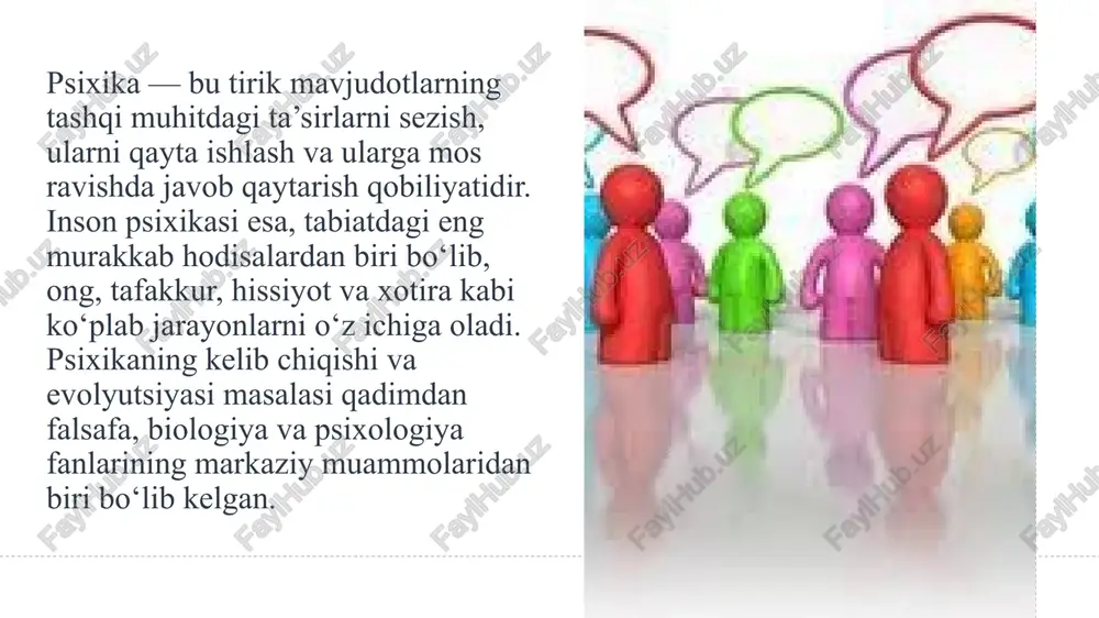 ab bo‘lgan. 7 psixika evolyutsion jarayon sifatida tirik organizmlarning murakkablashuvi bilan birga rivojlanib borgan. dastlab psixikaning eng oddiy shakllari oddiy organizmlarda sezuvchanlik (iritabillik) ko‘rinishida namoyon bo‘lgan. bu bosqichda organizmlar faqat tashqi ta’sirga javob qaytarish qobiliyatiga ega bo‘lgan. keyingi bosqichda, nerv tizimining paydo bo‘lishi bilan bir qatorda reflekslar shakllana boshlagan, ya’ni organizm muhit o‘zgarishlariga faol javob bera boshlagan. 8 hayvonot olamining rivojlanishi natijasida psixika ham murakkab shakllarga ega bo‘ldi. masalan, umurtqasiz hayvonlarda oddiy reflektor faoliyat ustun bo‘lsa, umurtqali hayvonlarda sezgi, idrok, xotira va instinktlar rivojlangan. yuqori darajadagi sutemizuvchilarda esa elementar tafakkur, muhitni tahlil qilish va oddiy muammolarni hal qilish qobiliyatlari paydo bo‘lgan. bu bosqichlar psixikaning bosqichma-bosqich evolyutsiyasini yaqqol ifodalaydi. natijada, eng murakkab psixik shakl — inson ongi shakllangan. 9 inson psixikasining shakllanishi inson psixikasining shakllanishi uzoq tarixiy jarayon bo‘lib, u hayvonot dunyosidagi psixik rivojlanishning eng yuqori bosqichi sifatida yuzaga kelgan. inson psixikasining shakllanishida uch asosiy omil — mehnat, til va ijtimoiy …