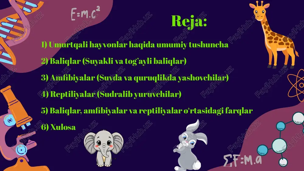 iplariga bo‘linadi. lansetniklar dengizlarning sayoz qismida qumga ko‘milib yashaydi. hayvonning paypaslagichlar bilan o‘ralgan og‘zi joylashgan oldingi qismi qumdan chiqib turadi. tanasining uzunligi 5–8 sm ga teng. tanasining orqa tomonida orqa suzgichi, tanasining keyingi tomonida dum suzgichi joylashgan. lichinkaxordalilar – tanasi silindr yoki bochka shaklidagi dengiz hayvonlari. lichinkalik davrida erkin suzib yuradi. voyaga yetgan assidiyalar tanasining ostki tomoni bilan suv tubiga yopishib, o‘troq hayot kechiradi. xordalilar umurtqali hayvonlarga xos xususiyatlar: o‘q skeleti umurtqa pog’onasidan iborat. plastinkajabralilar (tog‘ayli baliqlar) sinfi akulalar kichik tikanli akula tanasi 100 sm, kit akula esa 15–20 m gacha keladi. akulalar yirtqich bo‘lib, baliqlar, mollyuskalar bilan, kit akula esa plankton organizmlar va boshqa mayda baliqlar, ularning tuxumlari bilan oziqlanadi. umurtqalilar kenja tipi. skatlar tanasi yassi, suv tubida yashashga moslashgan, uzunligi bir necha sm dan 6–7 metrgacha yetadi. ko‘krak suzgichlari juda keng. ular mollyuskalar, qisqichbaqasimonlar bilan oziqlanadi. elektr skat tanasining ikki yonida elektr toki ishlab chiqaruvchi organlar joylashgan. skatlar …
