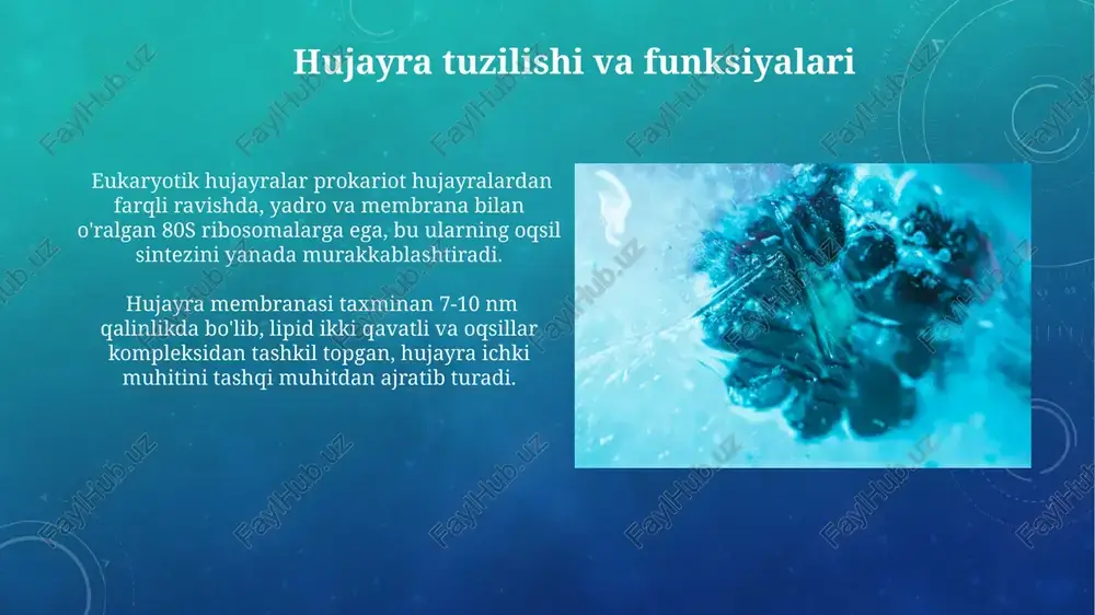 sitologiya va hujayra haqidagi fan - Page 3