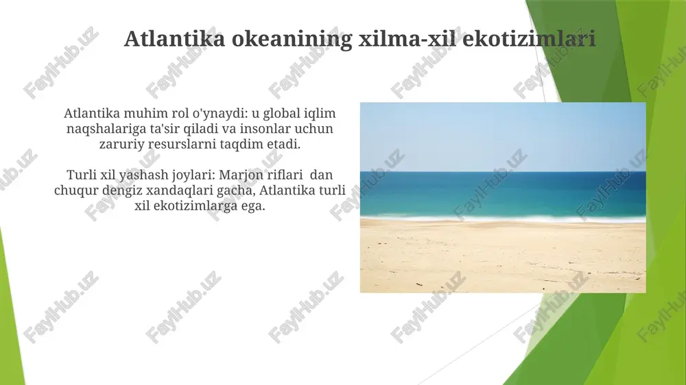 atlantika okeani tabiati - Page 3