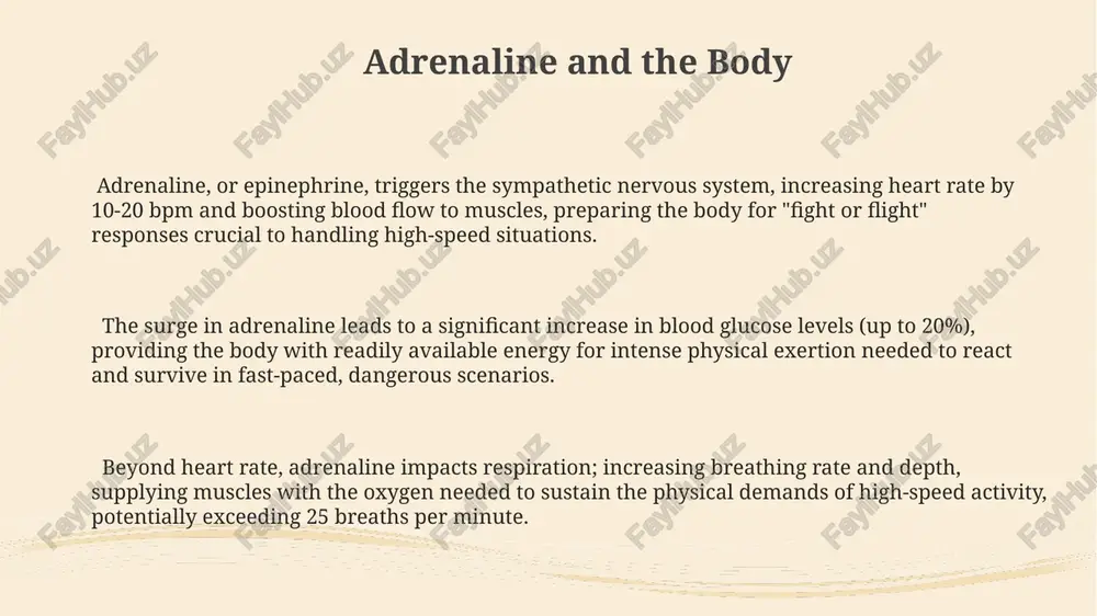 adrenaline rush: the biology of speed - Page 3