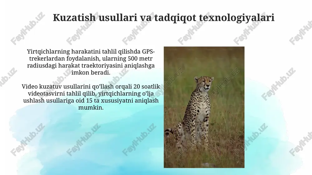 ri orqali 10-20% gacha energiyani yuqori trofik darajalarga o'tkazib, ekosistema barqarorligiga hissa qo'shadilar. ba'zi yirtqichlar, masalan, bo'rilar, o'simliklarning tarqalishiga ta'sir qilib, o'simlik jamiyatining tarkibini va tuzilishini o'zgartiradi, bu 5-10 ta turga ta'sir qilishi mumkin. tadqiqot natijalari va xulosalar o'rganilgan 50 ta yirtqichning 30 tasida hududiylik xulqi kuzatildi, bu esa ularning oziq-ovqat resurslarini himoya qilish strategiyasini tasdiqlaydi. yirtqichlarning ov qilish muvaffaqiyat darajasi o'rtacha 40% ni tashkil etdi, bu esa ularning ov strategiyasini takomillashtirishga ehtiyoj borligini ko'rsatadi. inson faoliyatining yirtqichlarga ta'siri inson faoliyati tufayli yirtqichlar yashash joylarining 30% ga qadar kamayishi kuzatilmoqda, bu esa ularning oziq-ovqat manbalarining sezilarli darajada qisqarishiga olib keladi va populyatsiyani tahdid qiladi. kimyoviy moddalarning atrof muhitga tarqalishi, xususan, 5 dan ortiq pestitsidlarning qo‘llanilishi yirtqichlarning reproduktiv salohiyatini pasaytirib, ularning sonini kamaytiradi. yirtqichlarning ov qilish strategiyasi va usullari yirtqichlar 3 ta asosiy ov qilish strategiyasini qo'llaydi: kutish, ta'qib qilish va tuzoq qo'yish, har bir strategiya muayyan o'lja turi va muhitga …