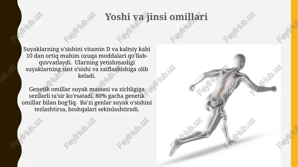 genetik omillar osteoporozni rivojlanish xavfini aniqlashda muhim rol o'ynaydi. fgfr3, lrp5 va sost kabi genlardagi mutatsiyalar, achondroplaziya va osteoporozni o'z ichiga olgan turli xil suyak o'sish buzilishlariga olib kelishi mumkin, natijada skeletning anormal rivojlanishi kuzatiladi. uyqu va dam olishning ahamiyati to'liq dam olish va uyquning etarliligi, suyaklarni ta'mirlash va tiklash jarayonlari uchun zarur bo'lgan hujayra regeneratsiyasi va to'qimalarning tiklanishini yaxshilaydi. uyqusizlik suyak zichligini pasaytiradigan kortizol gormonining ko'payishiga olib keladi, bu esa osteoporoz xavfini 30% ga oshirishi mumkin. suyak o'sisining bosqichlari o'smirlik davrida, taxminan 11-16 yosh oralig'ida, gormonlarning (masalan, o'sish gormoni va jinsiy gormonlarning) ta'siri ostida suyak o'sishi tezlashadi va keyinchalik to'xtaydi. 1-7 yosh oralig'ida suyaklarning mineralizatsiyasi va mustahkamlanishi tezlashadi, bu davrda kaltsiy va d vitamini muhim rol o'ynaydi, shuningdek, jismoniy faollik ta'sir ko'rsatadi. stressning ta'siri ortiqcha jismoniy zoʻriqish, mikrotravmalar orqali suyak toʻqimalariga zarar yetkazib, osteoklastlar faolligini kuchaytirib, suyak massasining kamayishiga olib kelishi mumkin, natijada osteoporoz xavfi ortadi. suyaklarga 10-17 yosh …