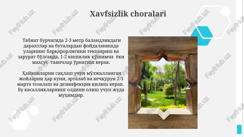 tabiat burchagida qo'yiladigan talablar - Page 3