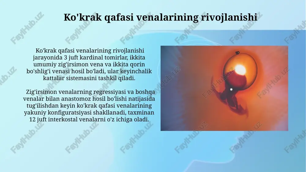 llar katta tomir tizimining rivojlanishidagi nuqsonlar 20% hollarda tug‘ma yurak nuqsonlariga olib kelishi mumkin, bu esa doppler ultratovush tekshiruvi va magnit-rezonans angiografiyasi yordamida aniqlanadi. chuqur tomir trombozi (chtt) kabi kasalliklar, oyoqlarda shish, og‘riq va qizarish bilan namoyon bo‘lib, flebografiya yordamida tasdiqlanadi va 50 yoshdan oshganlarda tez-tez uchraydi. qorin bo'shlig'i venalarining rivojlanishi embriogenezning 7-8 haftalarida inferior vena kava (ivc) ning rivojlanishi asosan postkardinal va subkardinal venalarning regressiya va anastomoz jarayonlari natijasida amalga oshadi. qorin bo'shlig'i venalarining oxirgi shakllanishida portallar sistema (2 ta jigar venasi, mezenterial venalar) muhim rol o'ynaydi va jigar orqali qon oqimini ta'minlaydi. vena kavalari rivojlanishi katta vena sistemasining noto'g'ri rivojlanishi, masalan, vena kavalari agenezisi yoki gipoplaziyasi, qon aylanishi bilan bog'liq jiddiy tug'ma nuqsonlarga olib kelishi mumkin. vena kavalari rivojlanishi davomida, taxminan 8-10 haftaga kelib, qo'shimcha vena tizimlari, masalan, subkardinal va suprakardial tomirlar bilan qo'shilib, murakkab tarmoq hosil qiladi. limfa sistemasi bilan o'zaro ta'siri katta tomirlarning limfa kapillyarlari bilan …