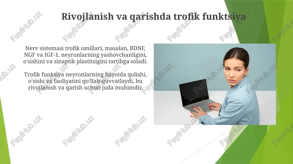 ta shakllilash va mustahkamlash nerv sistemasi o'z hujayralarining o'sishi, hayot kechirishi va faoliyatini kimyoviy signallar orqali qo'llab-quvvatlaydi. sinaptik qayta shakllanish va mustahkamlanish: sinapslardagi tuzilma va funksiya o'zgarishlari neyronlararo aloqani optimallashtirishga xizmat qiladi. glial hujayralarning oziqlanishdagi hissasi trofik funksiyalar neyronlarning omon qolishi, o'sishi va saqlanishi uchun muhim qo'llab-quvvatlashni ta'minlaydi, bu asab tizimining sog'lom ishlashi uchun juda muhimdir. glial hujayralar neyronlarga zarur oziq moddalar va o'sish omillarini ta'minlaydi, hayotini va funktsiyasini yaxshilaydi. mashq va trofik funktsiya nerv sistemasida shikastlanish yoki kasallikdan keyin funksiyani saqlab qolish uchun kompensator moslashuvlar ro'y beradi. mashqlar neyrogenez, angiogenez va sinaptogenezni rag'batlantirish orqali trofik funktsiyani yaxshilaydi. neyron plastikligi: moslashuvning asosi neyron plastikligi: miyaning hayot davomida moslashish va o'zgarish qobiliyati. trofik funktsiya: nerv tizimining o'z hujayralarini qo'llab-quvvatlash va saqlab qolish. trofik funksiyaning o'rganish va xotirada roli trofik funksiya neyronlarning yashab qolishini, o'sishini va ulanishini ta'minlaydi, bu o'rganish va xotira uchun juda muhimdir. trofik faktorlar neyronlarning rivojlanishi, saqlanishi va moslashuvchanligiga …