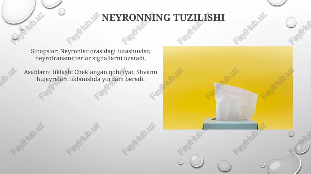 lanib, hujayraviy javoblarni keltirib chiqaradigan oqsillar. asab to'qimasining regeneratsiyasi: boshqa to'qimalardan farqli o'laroq, neyronlarning o'zini tiklash va regeneratsiya qilish imkoniyati cheklangan. nervlarni tiklash bo'yicha tadqiqotlarning kelajakdagi yo'nalishlari. nervlarni qayta tiklashni rag'batlantirish uchun biomoslashuvchan materiallarni ishlab chiqish. sinaps hosil bo'lishini boshqaradigan molekulyar mexanizmlarni tushunish. umumiy neyrotransmitterlar va ularning vazifalari asab to'qimalarining regeneratsiyasi: shikastlangandan keyin asab to'qimalarining o'zini tiklash qobiliyati cheklangan. nerv oxirlari - sinapslar: neyronlar orasidagi neyrotransmitterlar chiqariladigan joy. e'tiboringiz uchun rahmat @taqdimot_robot image3.png image4.jpg image5.jpg image6.jpg image7.jpg image8.jpg image9.jpg image10.jpg image11.jpg image12.jpg image13.jpg image14.jpg image15.jpg image16.jpg image17.jpg image18.jpg image19.jpg image20.jpg image1.png
