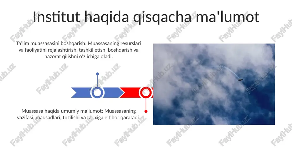 ta'lim muassasasi menejmenti - Page 3