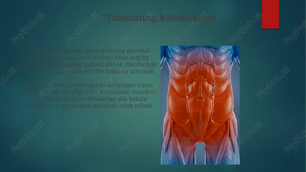 rayonini amalga oshiradi. timusning embrional rivojlanishi timusda t-limfotsitlarning differentsiatsiyasi va yetuklanishi jarayoni uning korteks va medulla zonalarining o’zaro ta’siri natijasida sodir bo’ladi, bu jarayon o'rtacha 7-10 kun davom etadi. timusning to’liq shakllanishi tug’ilishdan keyingi 2-3 yil davom etadi, bu davrda uning o’lchami sezilarli darajada ortadi va maksimal hajmini 10-15 grammga etadi. timusning o'smalari timus lobulyar tuzilishga ega bo'lib, har bir lobulyada korteks va medulla deb ataluvchi ikkita mintaqa mavjud. ularning nisbati embrion rivojlanish davrida o'zgarib turadi. timus hujayralarining 95% dan ortig'ini timotsitlar tashkil etadi, bu rivojlanayotgan t-limfotsitlarning katta populyatsiyasi bo'lib, ularning ko'pchiligi apoptoz orqali yo'q bo'lib ketadi. timotsitlarning rivojlanishi t-limfotsitlarning rivojlanishida pozitiv va negativ tanlanish jarayonlari muhim rol o'ynab, faqatgina o'z “o'z-o'zini” taniydigan hujayralar qoladi. timusda t-limfotsitlarning 95% ga yaqini kortikal zonada rivojlanadi, xolos medullyar zonada ularning differentsiatsiyasi yakunlanadi. timusning diagnostikasi timusning kattalashganligini aniqlashda ko'krak qafasi rentgenografiyasi yordamida 10 dan ortiq holatlarda mediastinal kengayish kuzatiladi va bu timomalarga shubha tug'dirishi …