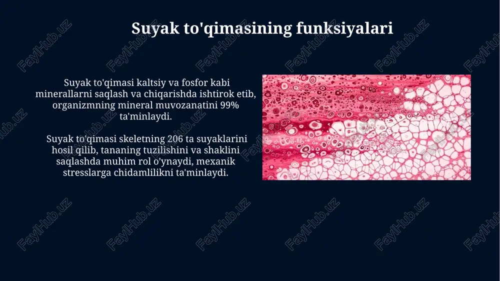 suyak to'qimasi - Page 3