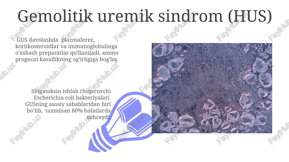 lishi mumkin. bernard-soulier sindromi ushbu kasallik gpib/ix/v kompleksining mutatsiyasi tufayli yuzaga keladi, bu esa vwf bilan bog'lanishni va trombotsitlarning endoteliyga yopishishini buzadi. bemorlarda qon ketishiga moyillik, burun qon ketishi (epistaksis) va og'ir holatlarda, hatto spontan ichki qon ketishlar ham kuzatiladi. idiopatik trombotsitopenik purpura (itp) itp, kattalarga nisbatan bolalarda ko'proq uchraydi va 60% hollarda o'tkir shaklda, qolgan 40% hollarda surunkali shaklda namoyon bo'ladi, bu esa davolash strategiyasini belgilaydi. itp tashxisi klinik ko'rinishlar va trombotsitlar sonining pasayishiga asoslanadi, boshqa sabablar (masalan, leykemiya) istisno qilingandan so'ng; davolash kortikosteroidlar, immunoglobinlar yoki splenektomiya (taxminan 30% hollarda) ni o'z ichiga olishi mumkin. glanzmann trombasteniyasi glanzmann trombasteniyasini diagnostikasi trombotsit agregatsiyasi testlari, oqsil elektroforezi va genetik tahlillar yordamida amalga oshiriladi; taxminan 1:1 000 000 tug'ilish chastotasi bilan uchraydi. kasallikning og'irligi mutatsiya turiga va uning ekspression darajasiga bog'liq bo'lib, bemorlarda burun qon ketishi, og'iz shilliq qavatining qon ketishi, teri osti gematomalari kabi klinik ko'rinishlar kuzatiladi. trombotsitopeniyalar: umumiy nuqtai 01 …