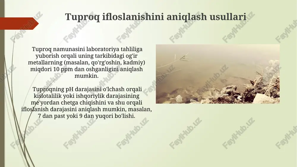 tuproqlarni ifloslanishi - Page 3