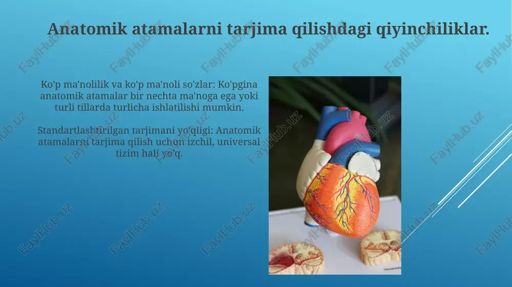 riga tayanadi. anatomik tarjimada kontekstning ahamiyati aniq anatomik tarjima tibbiy muloqot va bemor xavfsizligi uchun juda muhim. kontekst noaniqlikni bartaraf etadi, anatomik tarjimada aniqlikni ta'minlaydi. tibbiy ta'lim tibbiy ta'limda anatomik atamalarni aniq tarjima qilish aniq muloqot uchun juda muhim. tibbiy tarjimalar madaniy jihatdan sezgir bo'lishi va maqsadli auditoriyaga moslashtirilishi kerak. e'tiboringiz uchun rahmat @taqdimot_robot image1.jpg image2.jpg image3.jpg image4.jpg image5.jpg image6.jpg image7.jpg image8.jpg image9.jpg image10.jpg image11.jpg image12.jpg image13.jpg image14.jpg image15.jpg