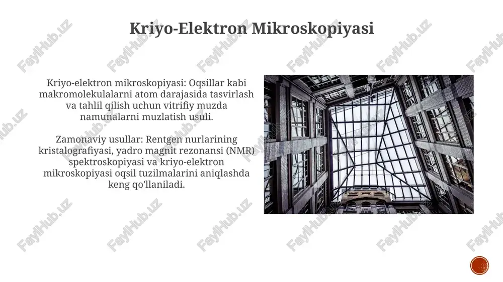 kriyo-elektron mikroskopiyasi - Page 3