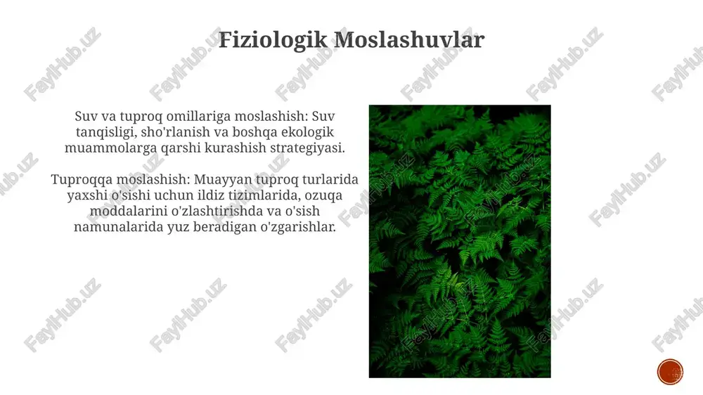 suv va tuproq omillariga moslashish - Page 3