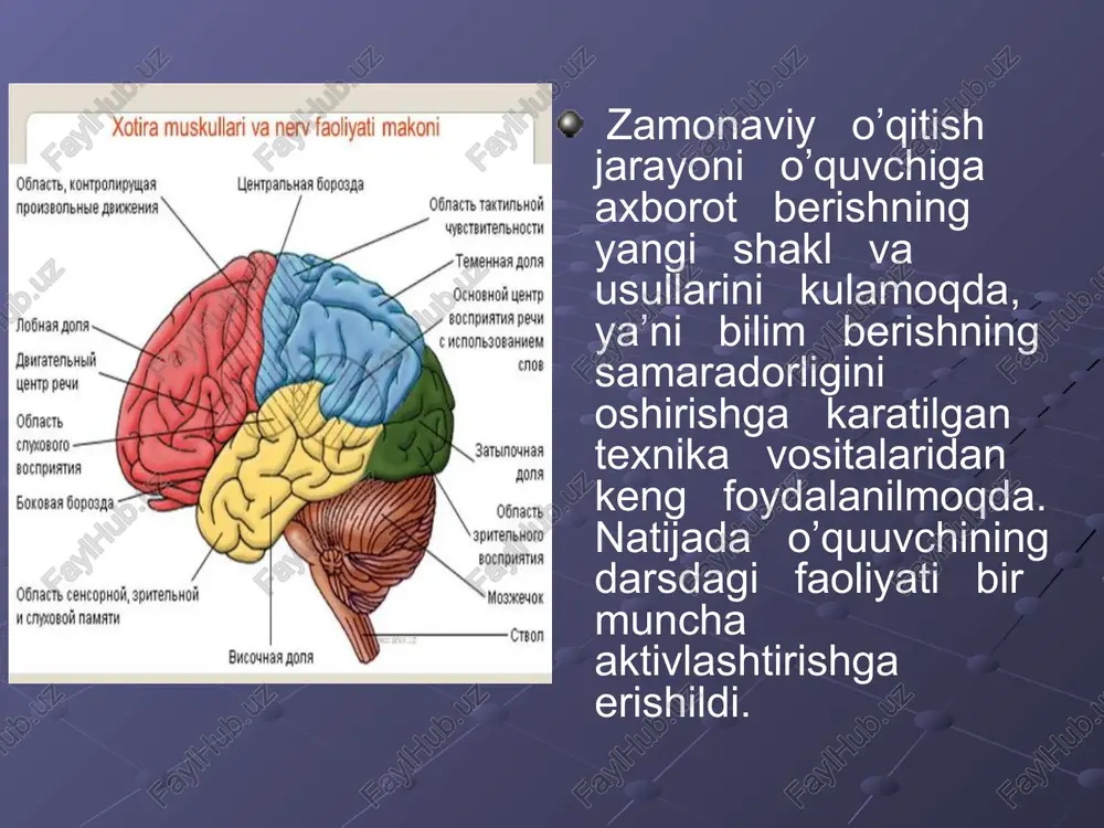 oblanadi. u nerv sistemasi va butun organizmning normal faoliyatini ta’minlaydi. i.p.pavlov ko’rsatishicha uyqu bosh miya yarim sharlar po’stlog’ining hamma yuzasida ichki tormozlanishning irradisiyalanishi natijasida hosil bo’lib, bu tormozlanish irratsiyasi bosh miyaning quyi bo’limlariga, oraliq va o’rta miyaga ham tarqaladi. uyqu vaqtida uzunchoq miya faoliyati to’xtab qolmaydi. odam o’rta hisobda bir sutkada 8 soat uxlaydi. uyqusiz 4-5 sutka yurishi mumkin. uzoq uyqusizlik nerv, ruhiy kasalliklarini keltirib chiqaradi. odam umrining 3:1 qismi uyquga ketadi. uyquning quyidagi turlari mavjud: tabiiy fiziologik uyqu, gipotik uyqu, narkotik uyqu. tabiiy fiziologik uyqu har kun tundagi normal uyqudir. odam organizmining tabiiy fiziologik uyquga ehtiyoji yoshga qarab turlicha bo’ladi. chaqaloqlarda 21-22 soat, 13-14 yoshda 9.5-10 soat, katta bolalarda 8 soat. tungi uyqu 3-5 stikldan iborat bo’lib, har qaysi shaklda sekin va tez uyqu davrlarga takrorlanib turadi. sekin uyqu davrida 1. 1.5 soat, tez uyqu davri 10-30 minut davom etadi tush ko’rish sodir bo’ladi. gipotik uyqu boshqa odam yoki …