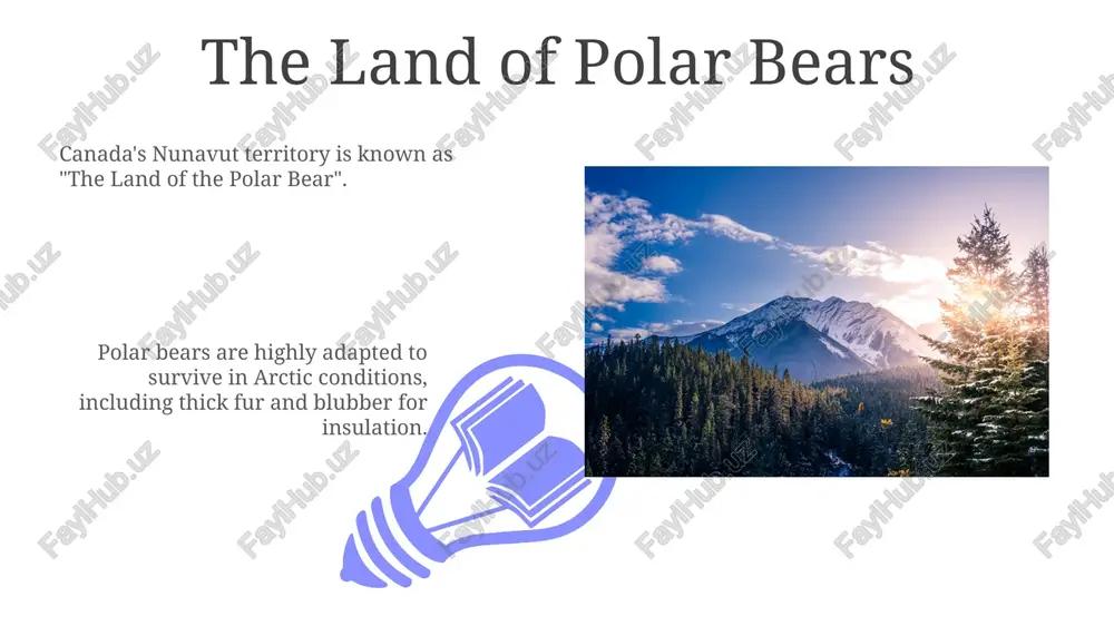 the great white north: a land of extremes - Page 3