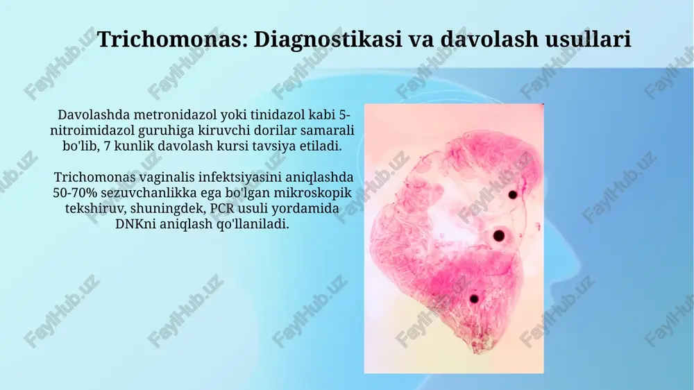 trichomonas: diagnostikasi va davolash usullari - Page 3