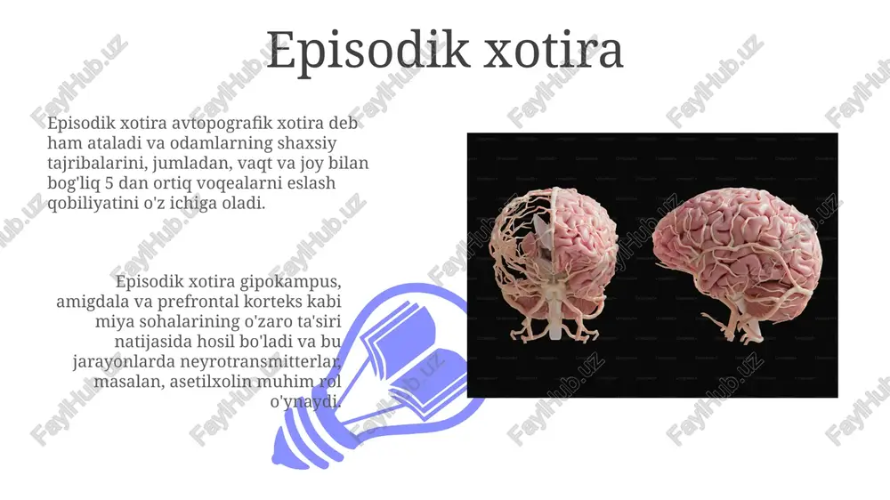 ladi. sensorli xotira, taxminan 0,5 soniyagacha davom etadigan juda qisqa muddatli xotira turi bo'lib, tushunish va idrok etish jarayonida muhim rol o'ynaydi, sensorli ma'lumotlarni qayta ishlashda ishtirok etadi. qisqa muddatli xotira sensorli xotira deb ataluvchi ikkilamchi xotira turi, qisqa muddatli xotiraning bir qismi bo'lib, ingl. "iconic memory" va "echoic memory" kabi vizual va akustik ma'lumotlarni juda qisqa vaqt (bir necha millisekund) saqlaydi. qisqa muddatli xotira odatda 7 ± 2 birlik ma'lumotni, ya'ni raqamlar, so'zlar yoki tasvirlarni taxminan 20-30 soniya davomida saqlay oladi. ishchi xotira 01 02 ishchi xotiraning hajmi va samaradorligi individual farqlarga ega bo'lib, yosh, diqqat darajasi va boshqa kognitiv funksiyalar bilan bog'liq. masalan, bolalarda uning hajmi kattalarnikiga nisbatan ancha kam bo'lishi mumkin. sales 1st qtr 2nd qtr 100 0 sales 1st qtr 2nd qtr 100 0 ong tushunchasi ongning e'tibor mexanizmi 5-7 birlik axborotni qisqa muddatli xotiraga o'tkazishga imkon beradi, bu esa uzoq muddatli xotiraga o'tishi uchun zarurdir, …