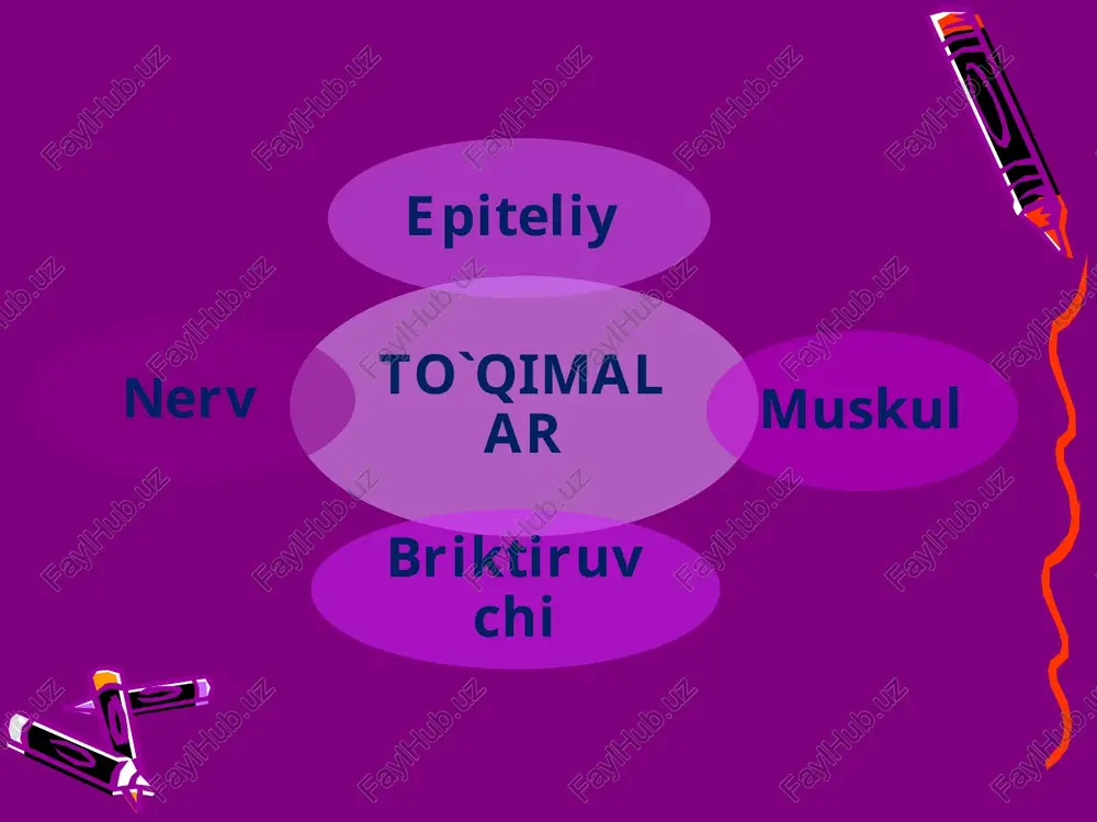 asosan xomilada, yangi tug’ilgan chaqaloqlarda uchraydi. kattalarda zsa faqat tog’aylarning suyakka birikkan joyida kalla suyaklarining choklarida uchraydi. bu suyakni dag’al tolali deyilishiga sabab shuki suyak to’qimasining ossein tolalari juda dag’al va turli yo’nalishda betartib joylashgan bo’ladi. image11.png image12.png image13.png image14.png image15.png image16.png image17.png image18.png image19.png image20.png image21.png image22.png image1.png image23.png image24.png image25.png image26.png image27.png image28.png image2.wmf image3.png image4.png image5.png image6.png /docprops/thumbnail.jpeg