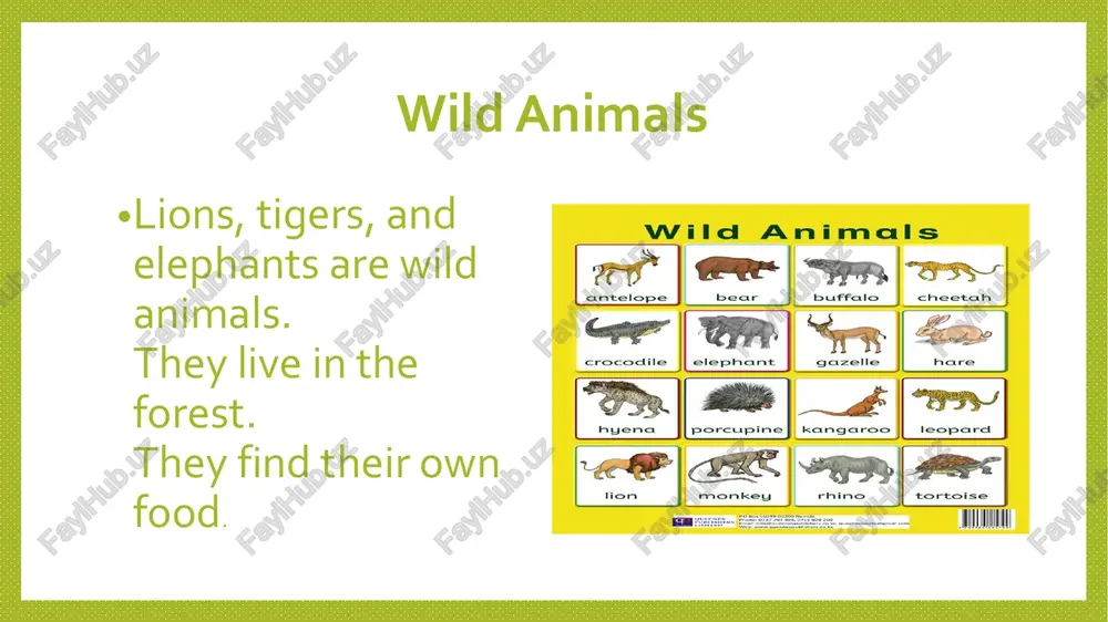 animals - Page 3