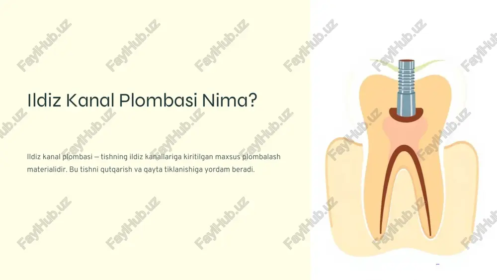 plombaashyolar - Page 3