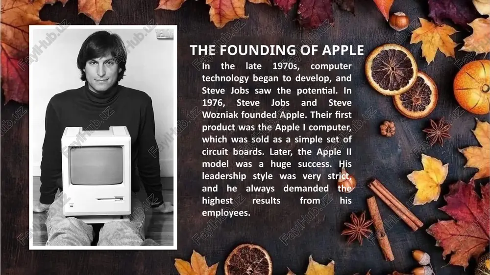 genius steve jobs and apple - Page 3