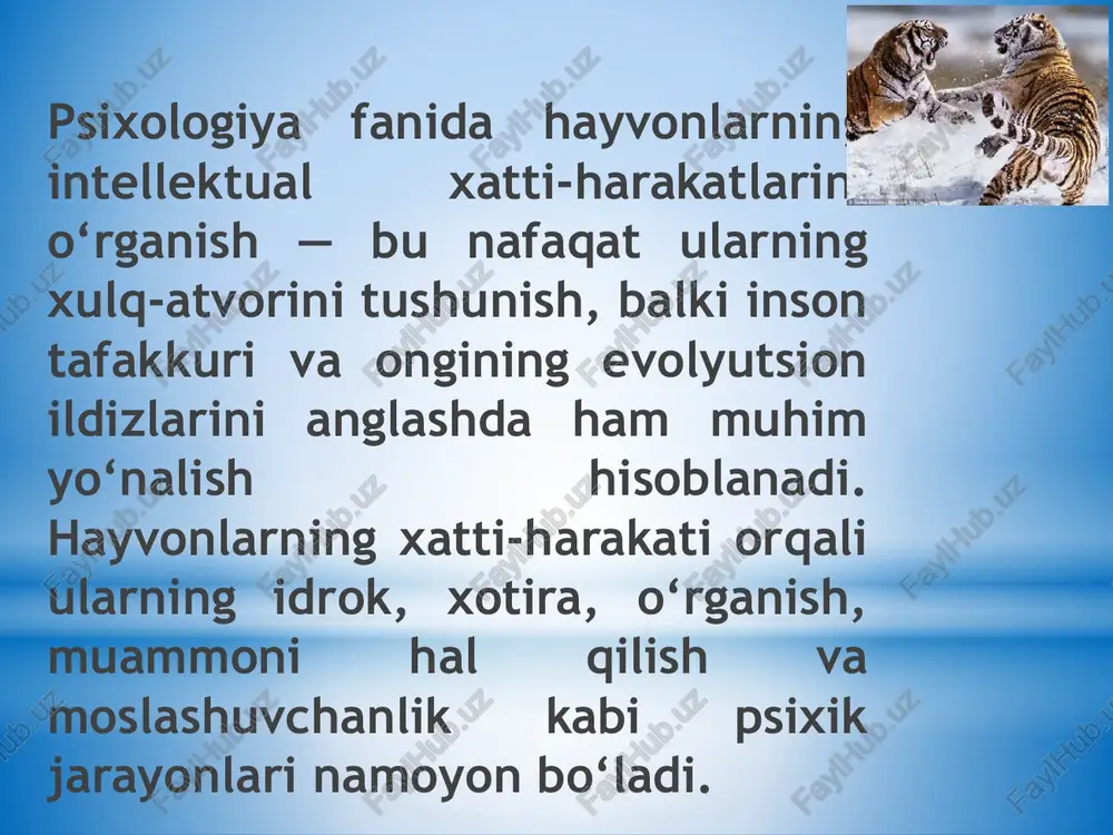 ion jarayonda markaziy asab tizimi murakkablashgani sari psixika ham yuqori darajali shakllarga o‘tgani kuzatiladi. ayniqsa, katta yarimsharlar po‘stlog‘ining rivojlanishi idrok, xotira, diqqat va o‘rganish jarayonlarini sifat jihatidan o‘zgartirdi. shu bois, hayvonlarda psixika va intellektual faoliyatning shakllanishi biologik evolyutsiyaning nafaqat fiziologik, balki psixologik tomondan ham chuqur ko‘rinishidir. hayvonlarning intellektual xatti-harakatlari shakllari hayvonlarning intellektual xatti-harakatlari ularning psixik faoliyatida eng yuqori darajadagi murakkab jarayonlar sirasiga kiradi. bu xatti-harakatlar instinktiv yoki tasodifiy harakatlardan farqli ravishda, maqsadga yo‘naltirilgan, tajribaga tayangan va muammoni hal etishga qaratilgan ongli faoliyatni ifodalaydi. psixologiyada hayvonlarning intellektual xatti-harakatlari ularning muammoli vaziyatlarda ratsional yo‘l bilan yechim topish, sabab-oqibat aloqalarini anglash va ilgari olingan tajribani yangi holatlarda qo‘llay olish qobiliyati orqali aniqlanadi. hayvonlar intellektual faoliyatining shakllari bir necha turga ajratiladi. ulardan birinchisi — muammoni hal qilishdagi tafakkur harakatlaridir. bu holatda hayvon yangi vaziyatga duch kelganda, bevosita instinkt orqali emas, balki o‘ylab harakat qiladi. masalan, mashhur psixolog v. köhlerning tajribalarida shimpanzelar baland joyda turgan …