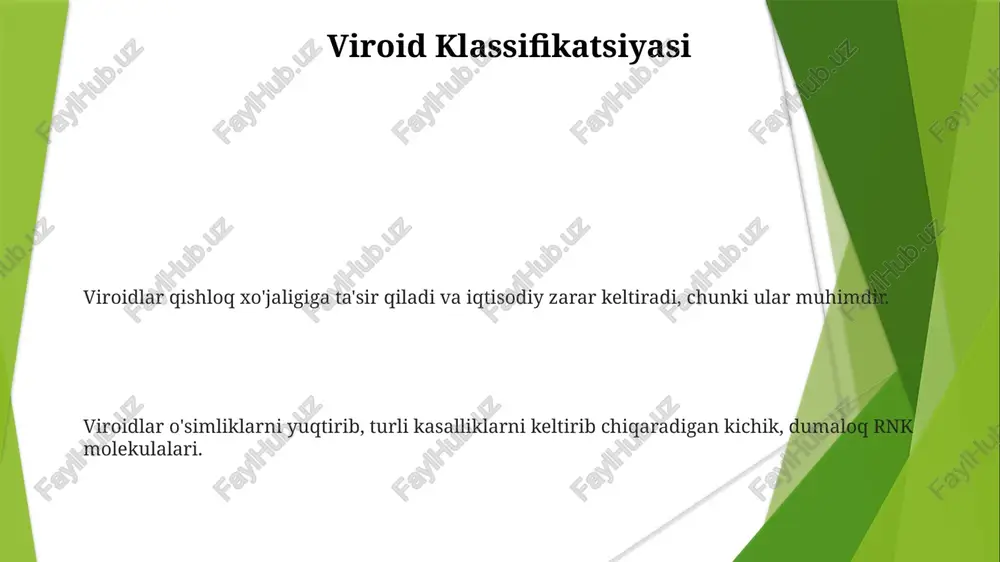 a to'g'ridan-to'g'ri yuqtirishi ma'lum emas, lekin ular hosil yo'qotishi va oziq-ovqat tanqisligi tufayli inson salomatligiga bilvosita ta'sir qilishi mumkin. viroidlarni tushunish o'simlik kasalliklarini oldini olish va nazorat qilish strategiyasini ishlab chiqish, oziq-ovqat xavfsizligini va inson salomatligini himoya qilish uchun juda muhimdir. viroid tadqiqoti viroidlar o'simliklarda kasalliklarni keltirib chiqaradigan kichik, yuqumli rna molekulalari. tadqiqot viroid tuzilishi, ko'payishi va mezbon hujayralar bilan o'zaro ta'sirini tushunishga qaratilgan. tadqiqot viroid tuzilishi, ko'payishi va mezbon hujayralar bilan o'zaro ta'sirini tushunishga qaratilgan. viroidlar o'simliklarda kasallik keltirib chiqaradigan kichik, aylana shaklidagi, bir zanjirli rnk molekulalari. viroidlar rnk evolyutsiyasi va o'simlik-patogen o'zaro ta'sirlar tabiatini tushunish uchun muhimdir. ular hosil kamayishi tufayli qishloq xo'jaligida sezilarli iqtisodiy yo'qotishlarga olib kelishi ma'lum. e'tiboringiz uchun rahmat @taqdimot_robot