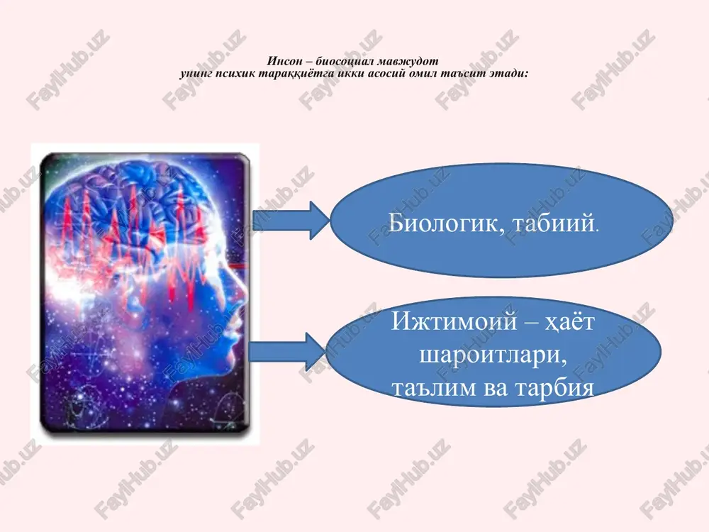 -6 yoshgacha. kichik maktab yosh davri – 6-10 yoshgacha. o'smirlik davri – 10-11yoshdan 14-15 yoshgacha. ilk o'spirinlik davri – 15-18 yoshgacha. o'spirinlik davri – 18-22 yoshgacha (talabalik). yoshlik davri – 23-28 yoshgacha. etuklik davri 1-bosqichi – 28-35 yoshgacha. etuklik davri 2-bosqichi – 36-55 (60) yoshgacha. keksayish davri – 61 (56)- 74 yoshgacha. keksalik – 75-90 yoshgacha. uzoq umr ko'ruvchilar – 90 dan yuqori. psixodinamik nazariya. psixodinamik nazariya asosini shaxsning xulqini emotsiya, mayl yordamida tahlil qilish tashkil etadi amerika psixologi e.erikson inson umrini 8 ta davrga ajratadi va ular o'ziga xos, betakror xususiyatlarga ega deb hisoblaydi. 1 – davr. ilk go'daklik (tug'ilgandan 1 yoshgacha). bu davrda tashqi dunyoga “ongsiz ishonch” tuyg'usi vujudga keladi. buning asosiy sababi ota-onaning mehr-muhabbati, g'amxo'rligi va jonkuyarligidir. agar go'dakda bu ishonch paydo bo'lmay qolsa, ona bolaga yomon munosabatda bo'lsa, voyaga etganda umidsizlik vujudga keladi. 2 – davr. kechki go'daklik (1 yoshdan 3 yoshgacha). yarim mustaqillik va shaxsiy …