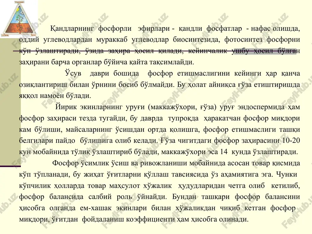 agi umumiy miqdori o'rtacha 0,12% yoki 1,10 tonnani tashkil etadi. qo'riq erlardagi fosfor zahirasi uning ona jins tarkibidagi miqdoriga bog'liq. haydaladigan va o'g'itlanadigan tuproqlarda bu holat o'zgacha bo'ladi. tuproq eritmasida fosforning kontsentratsiyasi - 1 litrda 0,1-1 mg atrofida bo'ladi. magmatik otqindi jinslar tarkibida 0,275% r2o5 bo'lgani holda ulardan emirilish natijasida hosil bo'lgan tuproq tarkibida ko'pi bilan 0,14% atrofida fosfor bo'ladi. tuproqda fosforli birikmalar organik va mineral shaklda uchraydi. mineral fosfatlar miqdori ancha yuqori bo'ladi. ularning tuproqlardagi miqdori tuproq tipiga, mexanik tarkibiga, sharoitlariga bog'liq ravishda o'zgarib boradi. masalan, kuchli podzollashgan qumoq tuproqlarda mineral fosfatlar - 73%, o'rta podzollashganda - 69, kulrang o'rmon- 56, kuchli qavatli qora-65, kashtan - 75, bo'z tuproqlarda 86% ni tashkil etadi. 1 kg tuproqda 1 mg r2o5 bo'lsa, 0-20 sm lik haydov qatlamida uning umumiy miqdori 3 kg ni tashkil etadi. g'alla ekinlari o'rtacha hosildorlikda gektaridan 20 kg r2o5, texnik ekinlar esa bundan ham ko'proq o'zlashtiradi. bundan …