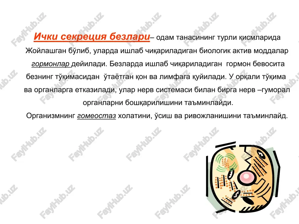 asayib ketsa orq bo'l ag i o r a l i q b o' l a i bachadon muskulini qisqarishini kuaytiradi. organizmda suv boshqarilishini taminlaydi. suvni siydik orqali chiqarilishini ta'minlaydi. suvni tanada yig'ilishini ta'minlaydi. terida pigmentni boshqarilishini ta'minlaydi. pigmentni ishini kuchaytiradi pigment ishini susaytiradi. adg inter- medin oksit otsin (dumboq osti soxasi) bosh miyaning ostki qismida oraliq miyaning ustki qismida joylashadi va tarkibiy qismi xisoblanadi, tananing avtonom funktsiyasi uchun javob beradigan qismdir. endokrin sistemani boshqaradi va gormon ajralishini ta'minlaydi. bosh miyaning xamma qismlaridan ma'lumotlar oladi va tanani organlarini boshqarishga ta'sir qiladi. rilizing-gormonlari qon orqali gipofizga tushadi va uning ta'siri orqali , gipofiz gormoni tasiri shakllanadi, to'planadi va ajraladi. liberinlar statinlar normada miqdori oshib ketsa miqdori pasayib ketsa gipofizni oldingi bo'lagidan chiqadigan gormonlarni boshqarib turadi. gipofizning oldingi bo'lagini giperfunktsiyasi gipofizning oldingi bo'lagini gipofunktsiya gipofizni oldingi bo'lagidan chiqadigan gormonlarni tormozlab turadi. gipofizning oldingi bo'lagini gipofunktsiya gipofizning oldingi bo'lagini giperfunktsiyasi (bosh miyaning asosida …