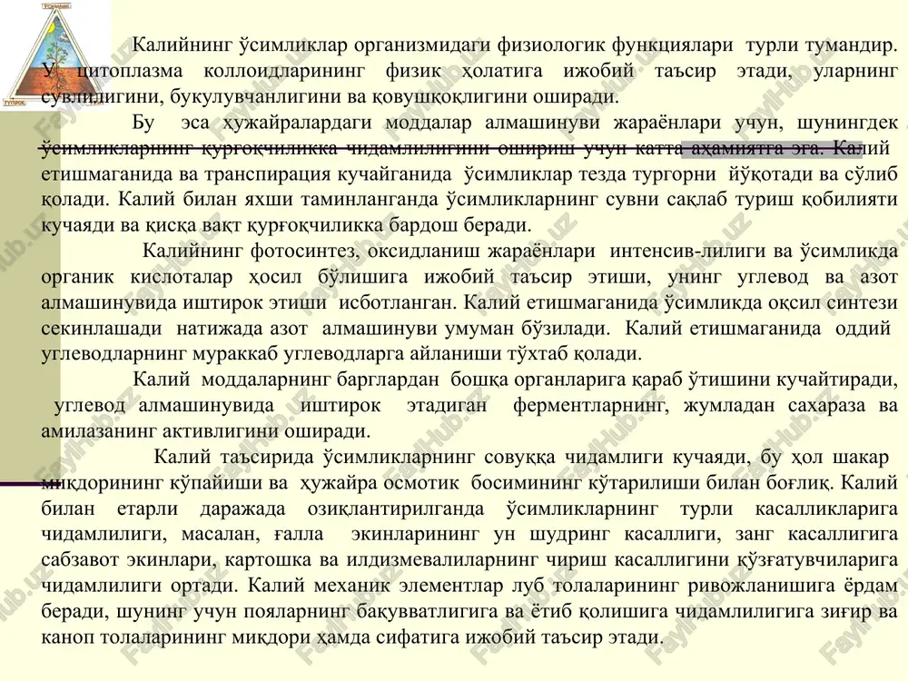 va kanop tolalarining miqdori hamda sifatiga ijobiy ta'sir etadi. paxtachilikda paxta bargi va ko'sagining mikrosporioz kasalligi bilan kasallanishi o'simlikning kaliy bilan qay darajada ta'minlanganligiga bog'liq bo'lib, ko'p yillik tajribalardan shu narsa ma'lumki kaliy bilan o'g'itlanmagan variantlarda bu kasallik kaliy bilan o'g'itlangan variantlarga nisbatan 1,5-2 barobar ko'payib ketdi va o'z navbatida hosilning texnologik sifatining ham pasayishiga sabab bo'ladi. kaliy etishmaganida reproduktiv organlarning rivojlanishi to'xtaydi- shonalar va boshlang'ich to'p gullar rivojlanmay qoladi, don puch bo'ladi va unib chiqish darajasi pasayadi. o'simliklardagi kaliy miqdori uning optimal miqdoridan 3-5 marta kamayib ketganida kaliy etishmasligining aniq tashqi belgilari ko'rinadi. kaliy odatda urug'lar, ildiz va tuganaklarga qaraganda vegetativ organlarda ko'p bo'ladi. kungaboqar, tamaki, qand lavlagi, kartoshka barglarida kaliyning nisbiy miqdori quruq massaga nisbatan 4-6% , g'allagullilar somonida 1-1,5% , karamda 0,5% gacha bo'ladi. donli ekinlar urug'ida 0,5% atrofida, kartoshka tuganaklarida, ildizmevalarda 0,3-0.6% kaliy bo'ladi. o'simliklarni kaliyga bo'lgan kritik davri ular rivojlanishining boshlang'ich fazalariga to'g'ri keladi (unib …