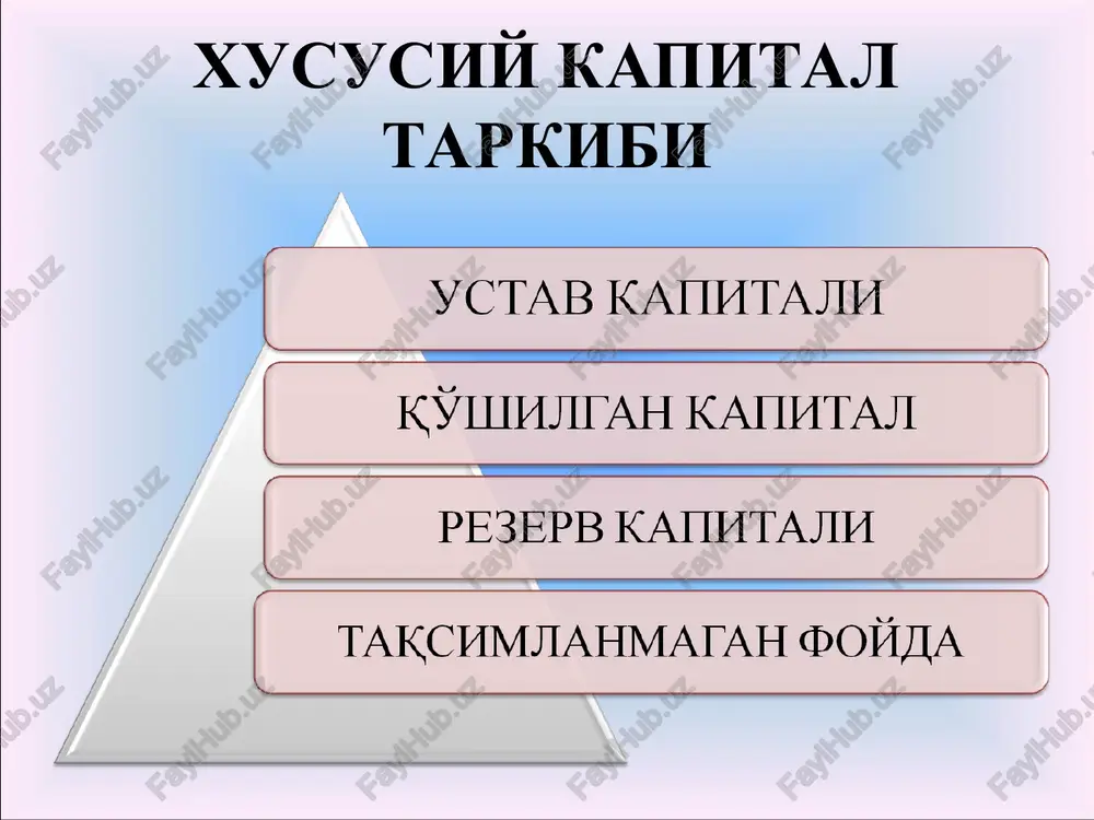 xususiy kapital auditi - Page 3