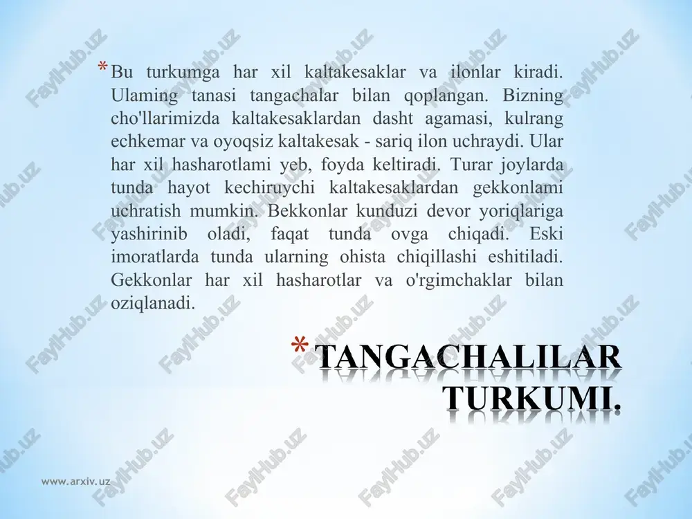 sudralib yuruychilar sinfi - Page 3