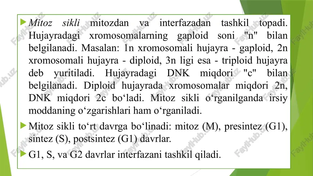 mitoz va meyoz sikllari - Page 3