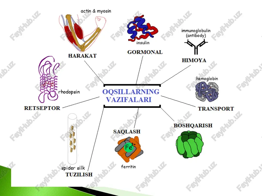 aminokislotalar biosintezi texnologiyasi - Page 3