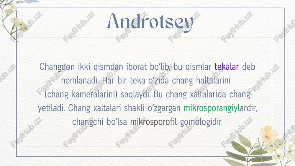 uzbekiston chinniguli - Page 3