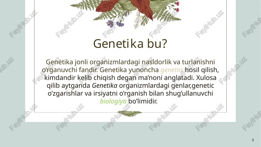 di. mendel tajribada qizil gulli (genotipi aa) va oq gulli (genotipi aa) boʻlgan gomozigotali noʻxat navlarini chatishtirib, birinchi avlod (gʻ,) duragaylarning hammasi bir xil, yaʼni qizil gulli boʻlganligini kuzatdi. bu holda noʻxat guli qizil fenotiplarning hammasi bir xil — aa (geterozigota) ge-notipga ega boʻlgan. qizil rangni belgilovchi gennit oq rang geni ustidan dominantlik qilishi tufayli bu ikki allel geterozigot (aa) holatida faqat dominant allel fenotipida namoyon boʻladi. 10 ikkinchi qonun ota-ona belgilarining ikkinchi avlod (gʻ2) duragaylarida belgilarning ajralishi, yaʼni ajralish qonuni deyiladi. mendel noʻxatning yuqorida koʻrsatilgan kizil gulli gʻ, duragaylarini oʻzaro chatishtirilganida olingan duragaylarida gul rangi boʻyicha ajralish sodir boʻlishi tufayli olingan oʻsimliklarning 3/4 qismi qizil gulli, 1/4 qismi esa oq gulli, yaʼni ularning miqdoriy nisbati 3:1 ga teng ekanligi aniqladi. gʻ2 da olingan kizil va oq gulli oʻsimliklar oʻzoʻziga chatishtirilganida esa oq gulli oʻsimliklarning barchasidan faqat oq gulli oʻsimliklar olingan. qizil gulli oʻsimliklarning 1/3 qismidan faqat qizil gulli, 2/3 …
